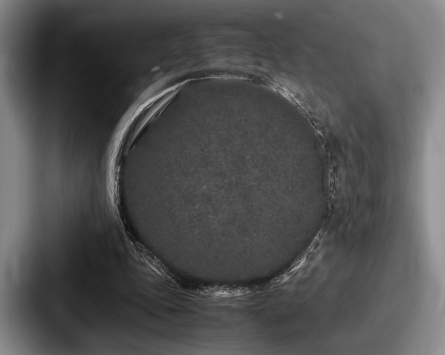 X0000087670343200705111202