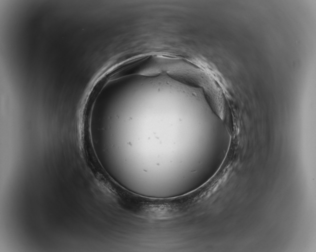 X0000087670344200705111202