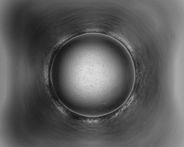 X0000087670345200705111202