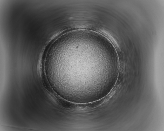 X0000087670346200705111202