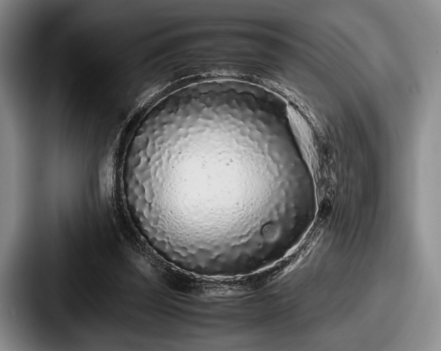 X0000087670347200705111202