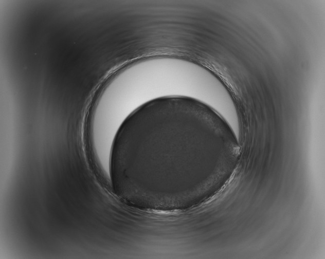 X0000087670348200705111202