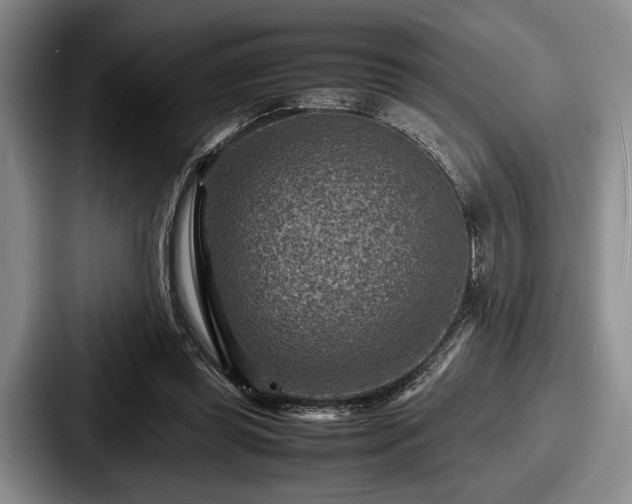 X0000087670349200705111202