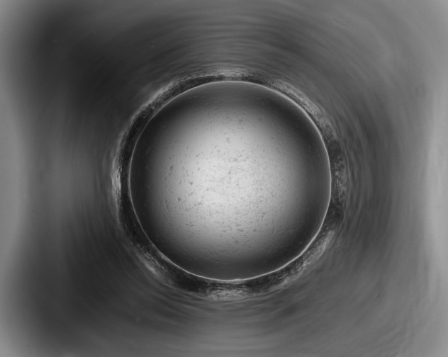 X0000087670350200705111202