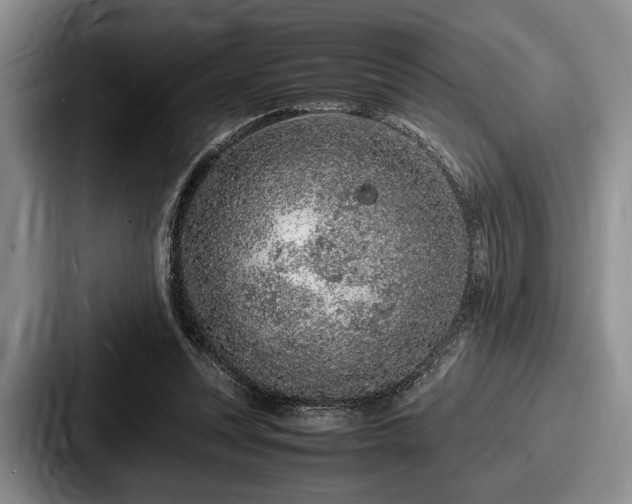 X0000087670351200705111202