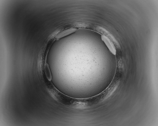 X0000087670352200705111202