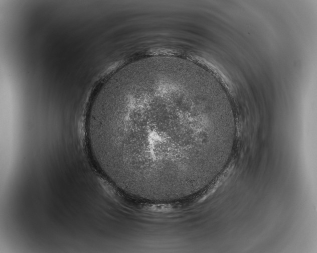 X0000087670353200705111202