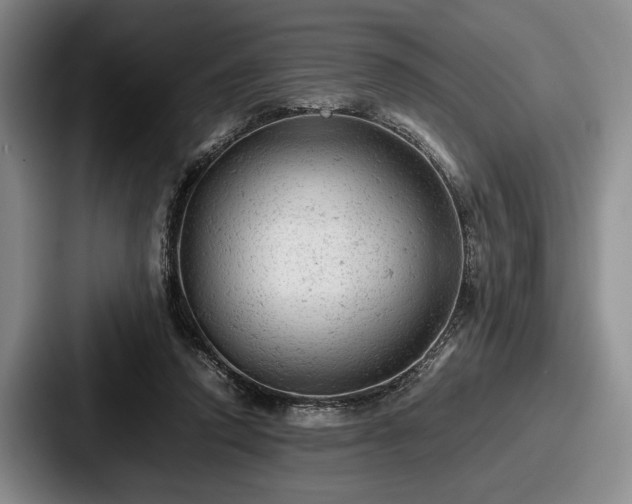 X0000087670354200705111202