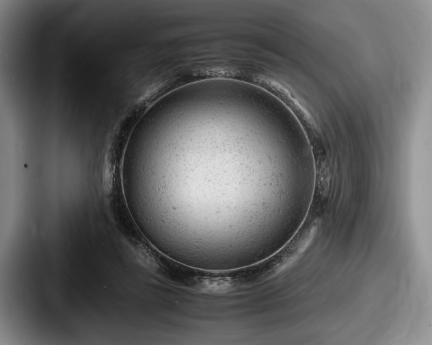 X0000087670355200705111202