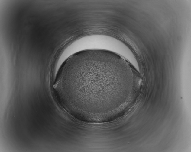 X0000087670356200705111202