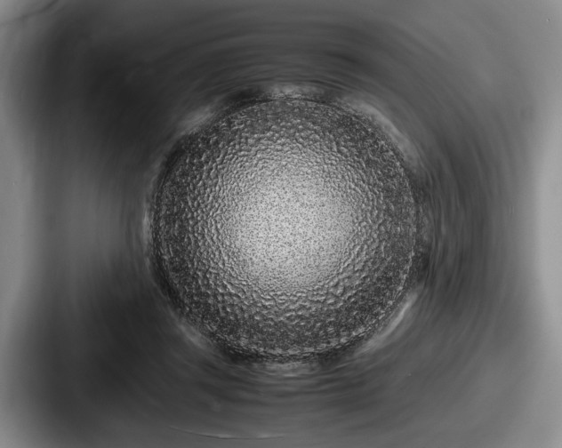 X0000087670357200705111202