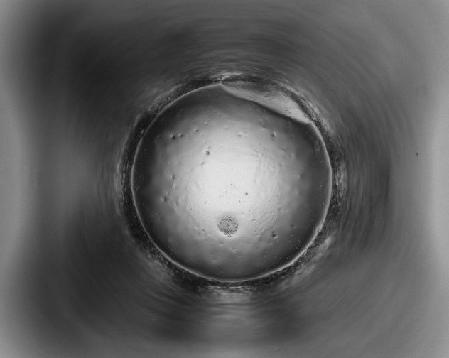 X0000087670359200705111202