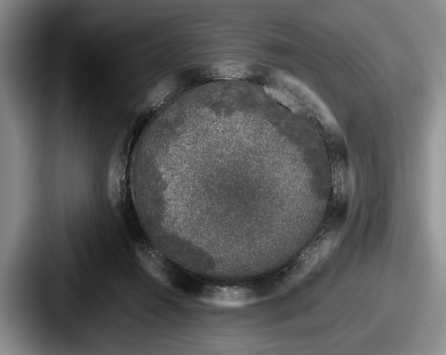 X0000087670360200705111202