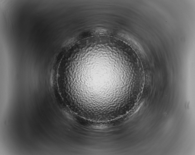 X0000087670361200705111202