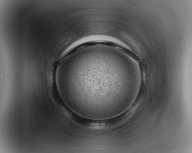 X0000087670362200705111202