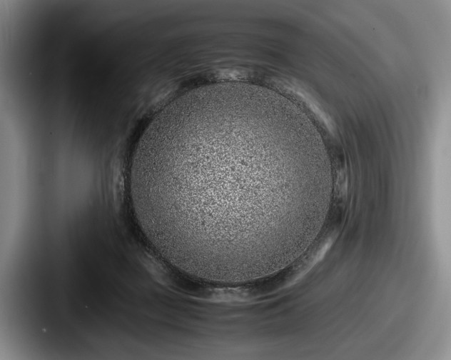 X0000087670363200705111202