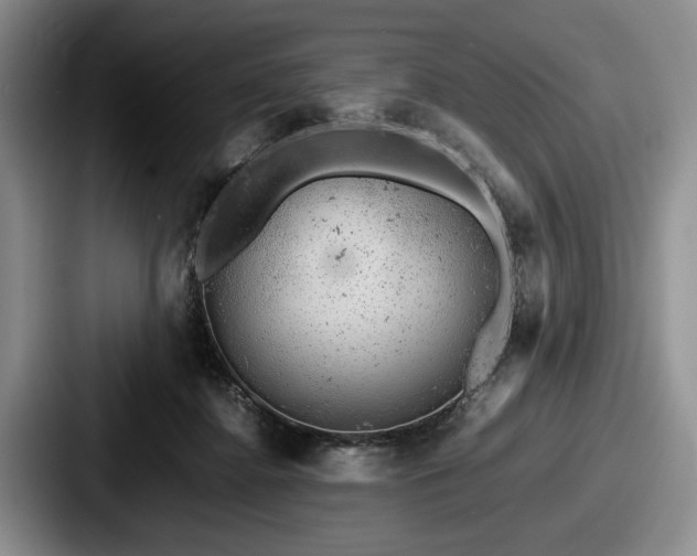 X0000087670364200705111202