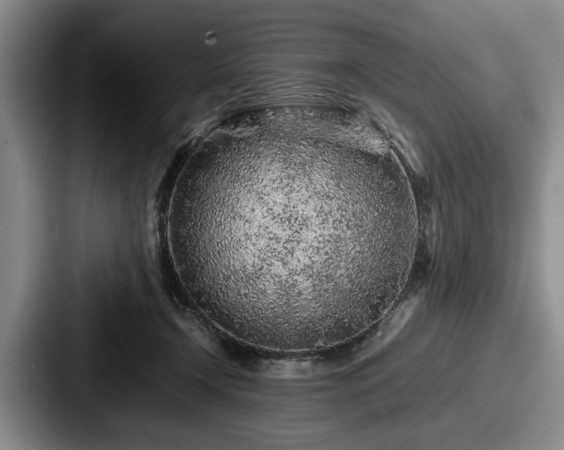 X0000087670366200705111202