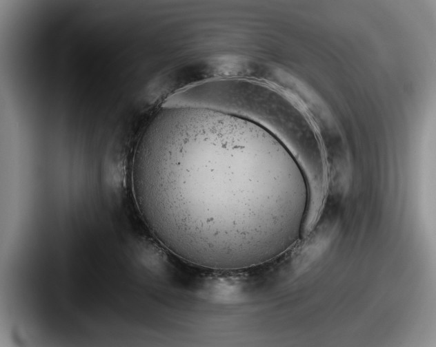 X0000087670368200705111202