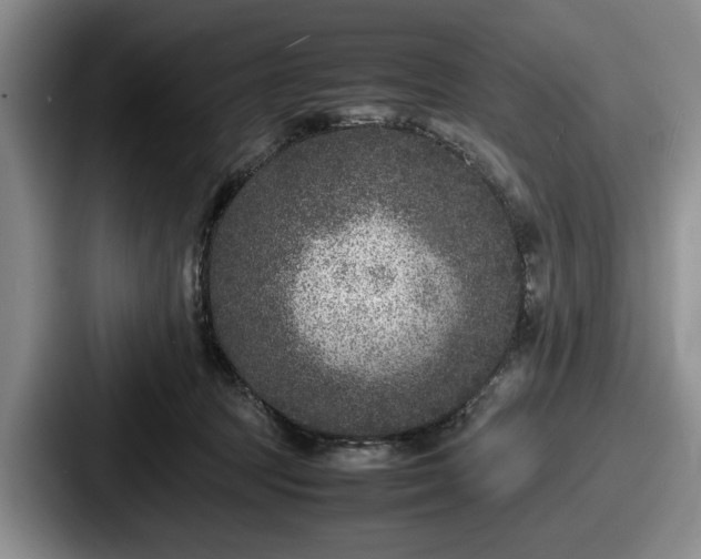 X0000087670369200705111202