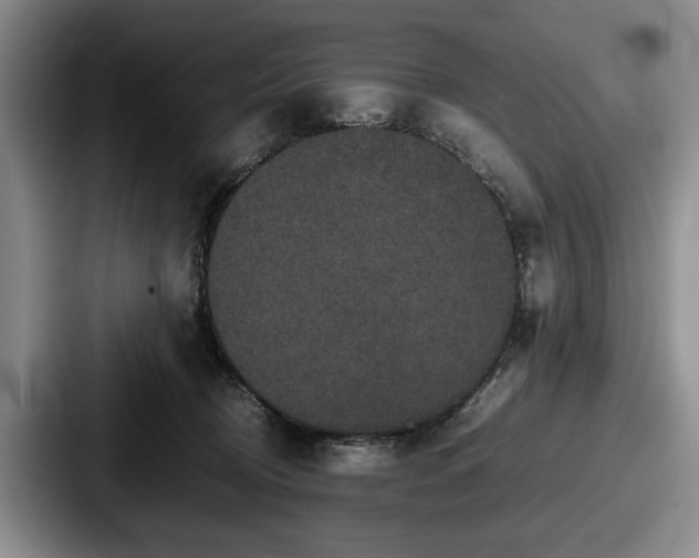 X0000087670370200705111202