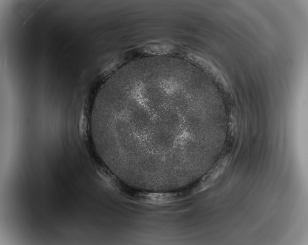 X0000087670371200705111202