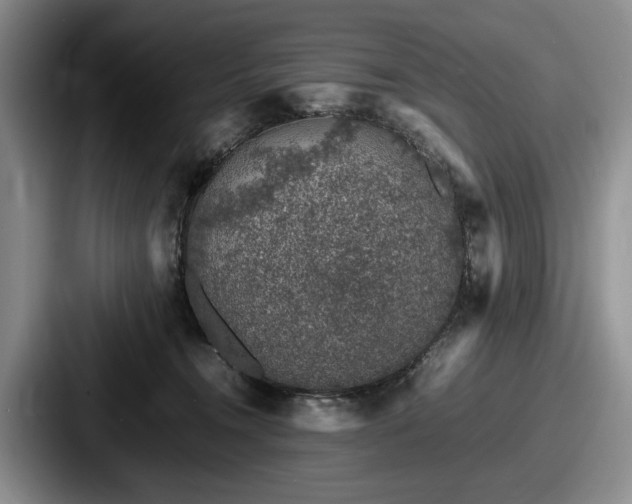 X0000087670372200705111202