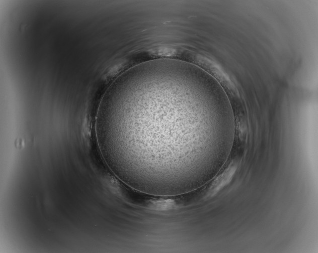 X0000087670374200705111202