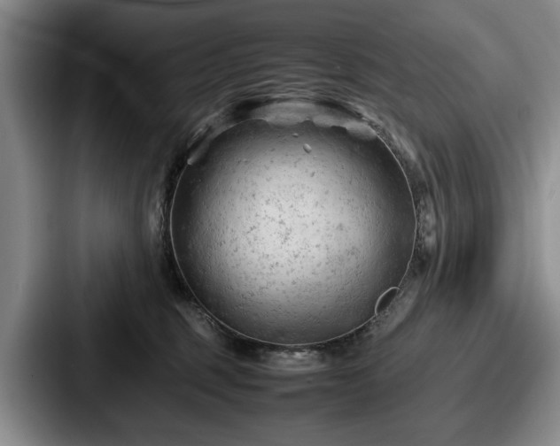 X0000087670375200705111202