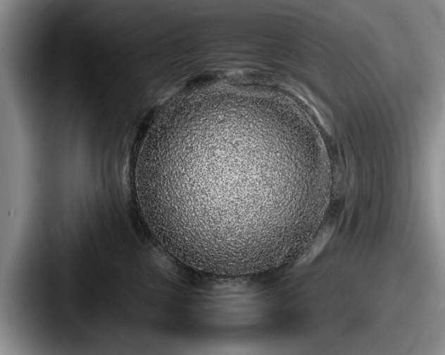 X0000087670377200705111202