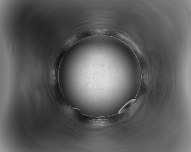 X0000087670378200705111202