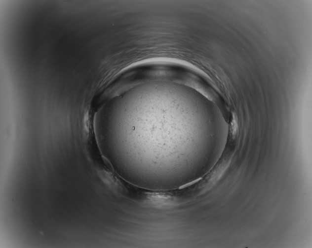 X0000087670380200705111202