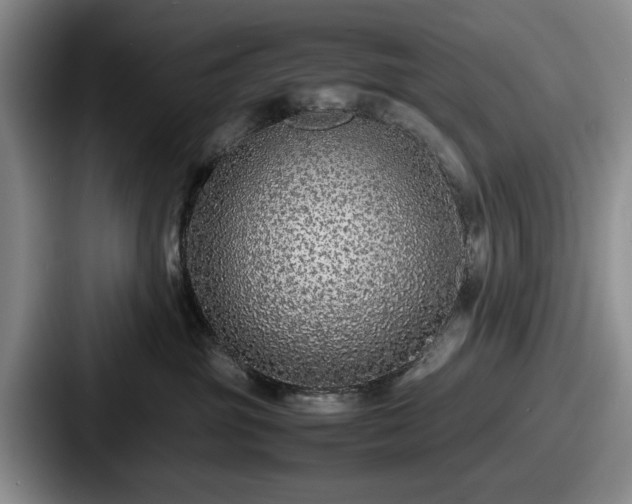 X0000087670381200705111202