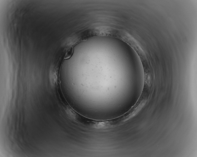 X0000087670382200705111202