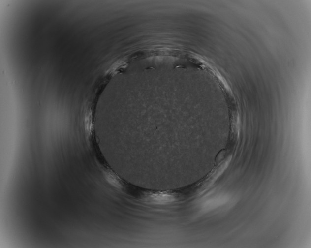 X0000087670383200705111202