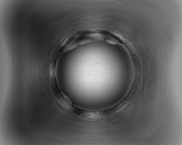 X0000087670384200705111202