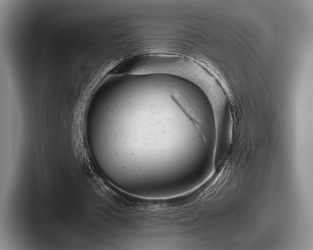 X0000087670385200705111202