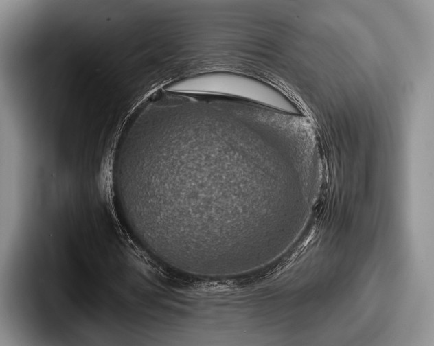 X0000087670386200705111202