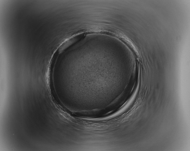 X0000087670387200705111202