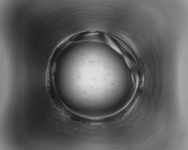 X0000087670388200705111202