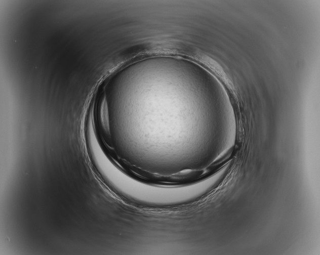 X0000087670389200705111202