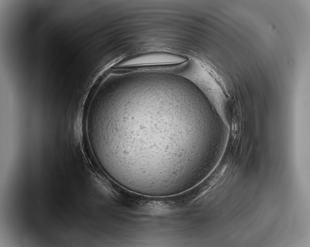 X0000087670390200705111202