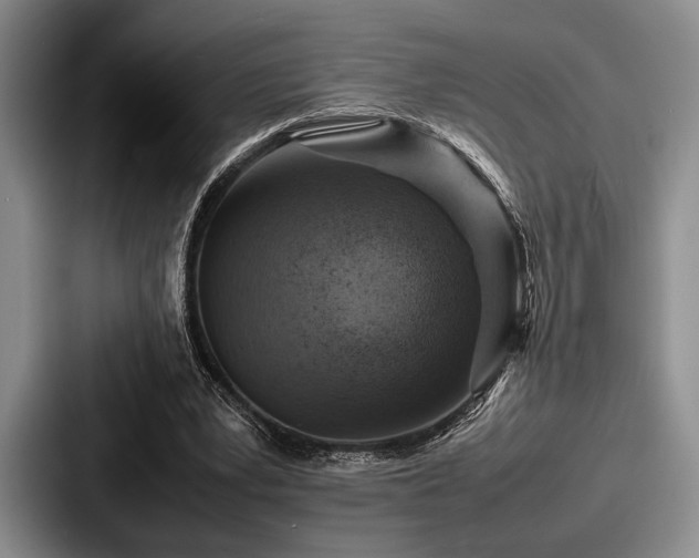 X0000087670391200705111202