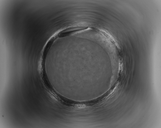 X0000087670392200705111202