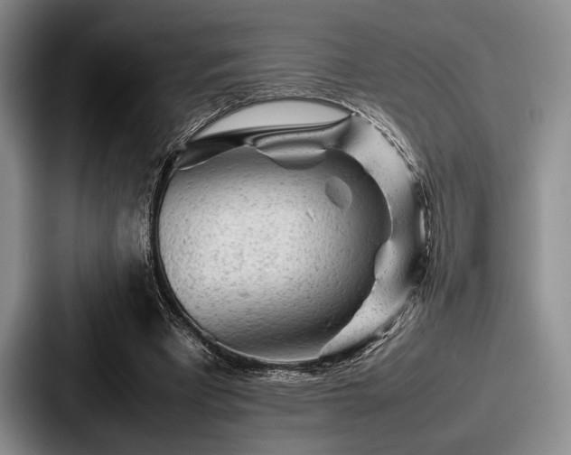 X0000087670393200705111202