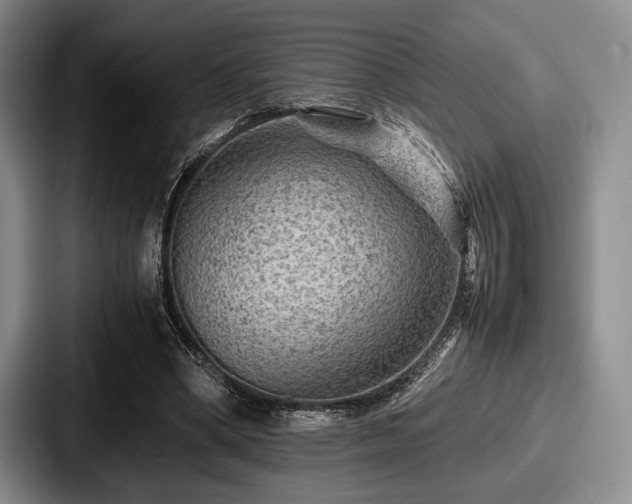 X0000087670394200705111202