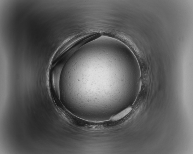 X0000087670395200705111202