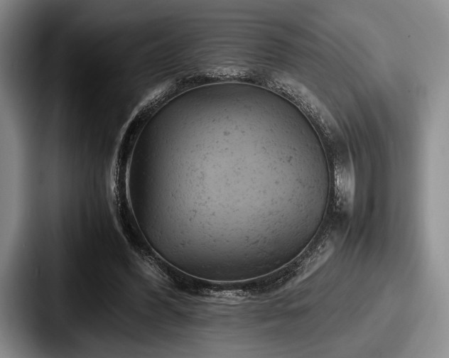 X0000087670396200705111201