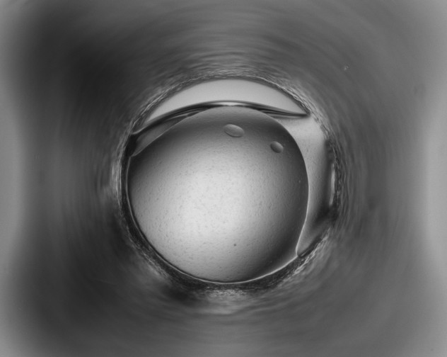 X0000087670397200705111201