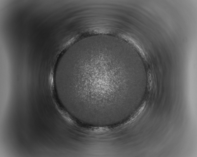 X0000087670398200705111201